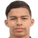 player-logo