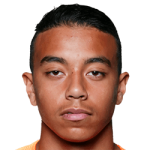 player-logo