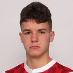 player-logo