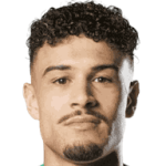 player-logo