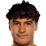 player-logo