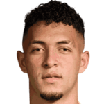 player-logo