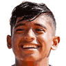 player-logo