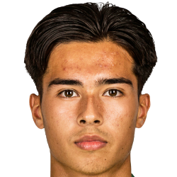 player-logo
