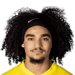 player-logo
