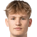 player-logo
