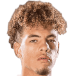 player-logo