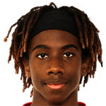 player-logo