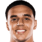player-logo