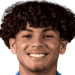 player-logo