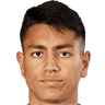 player-logo