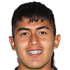 player-logo