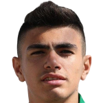 player-logo