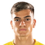 player-logo