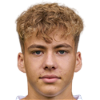 player-logo