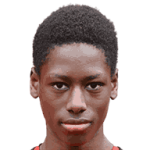 player-logo