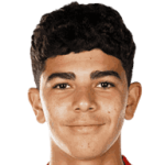 player-logo
