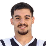 player-logo