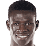 player-logo