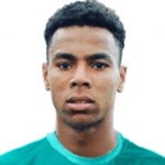 player-logo