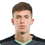 player-logo