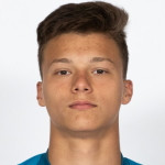player-logo