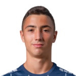 player-logo