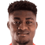 player-logo