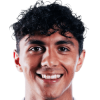 player-logo