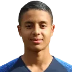 player-logo