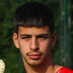 player-logo