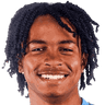 player-logo