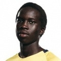 player-logo
