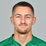 player-logo