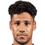 player-logo