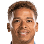 player-logo