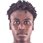 player-logo