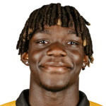 player-logo