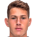 player-logo