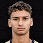 player-logo