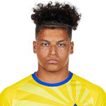 player-logo
