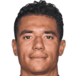player-logo