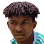 player-logo