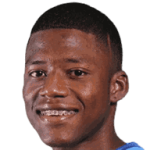 player-logo