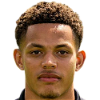 player-logo