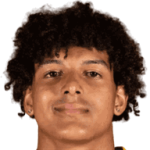 player-logo