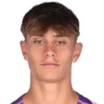 player-logo