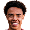 player-logo