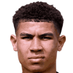 player-logo