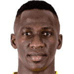 player-logo